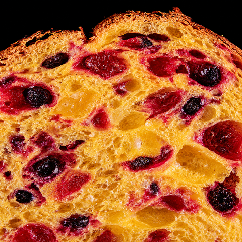 Panettone ai frutti di bosco del Trentino e profumo di limone